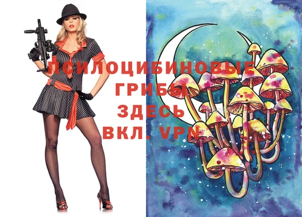 дурь Белоозёрский