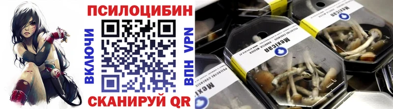 Псилоцибиновые грибы Psilocybe Карабулак